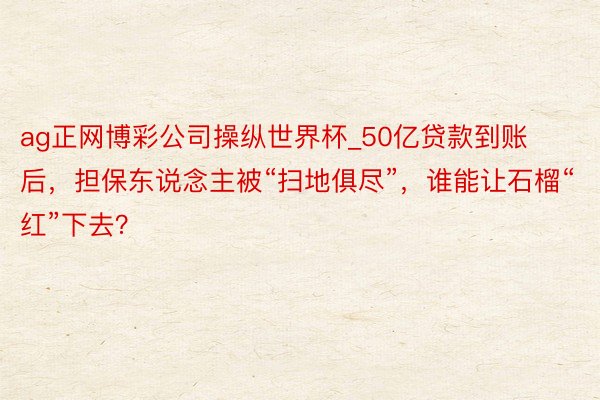 ag正网博彩公司操纵世界杯_50亿贷款到账后，担保东说念主被“扫地俱尽”，谁能让石榴“红”下去？