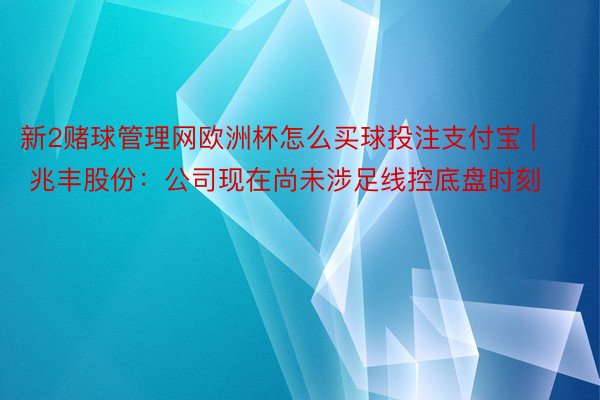 新2赌球管理网欧洲杯怎么买球投注支付宝 | 兆丰股份：公司现在尚未涉足线控底盘时刻