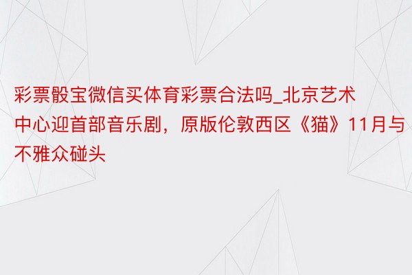 彩票骰宝微信买体育彩票合法吗_北京艺术中心迎首部音乐剧，原版伦敦西区《猫》11月