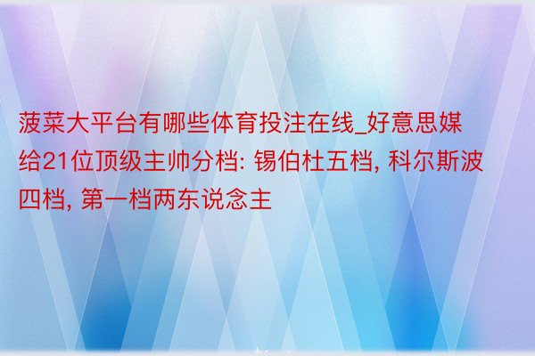 菠菜大平台有哪些体育投注在线_好意思媒给21位顶级主帅分档: 锡伯杜五档, 科尔